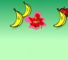 Fruit splat math